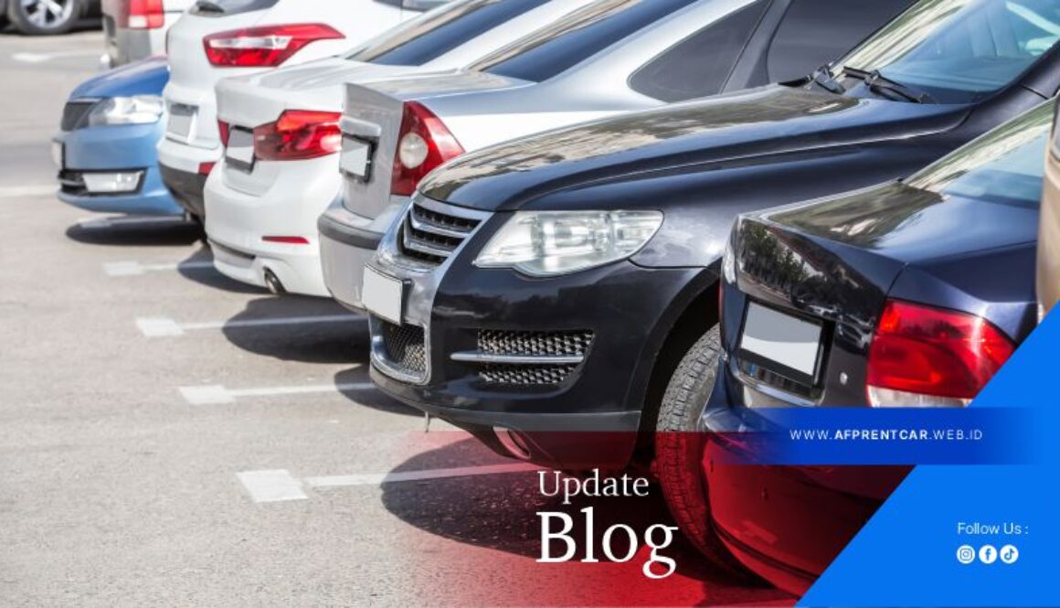 AFP Rent Car Artikel1 rev