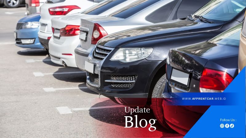 AFP Rent Car Artikel1 rev
